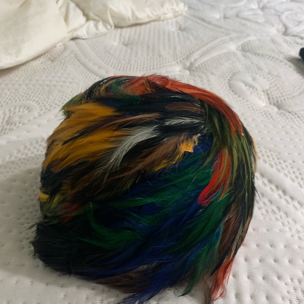 Feather vintage colorful hat